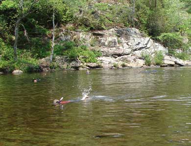 Snorkeling