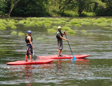 Paddleboarding