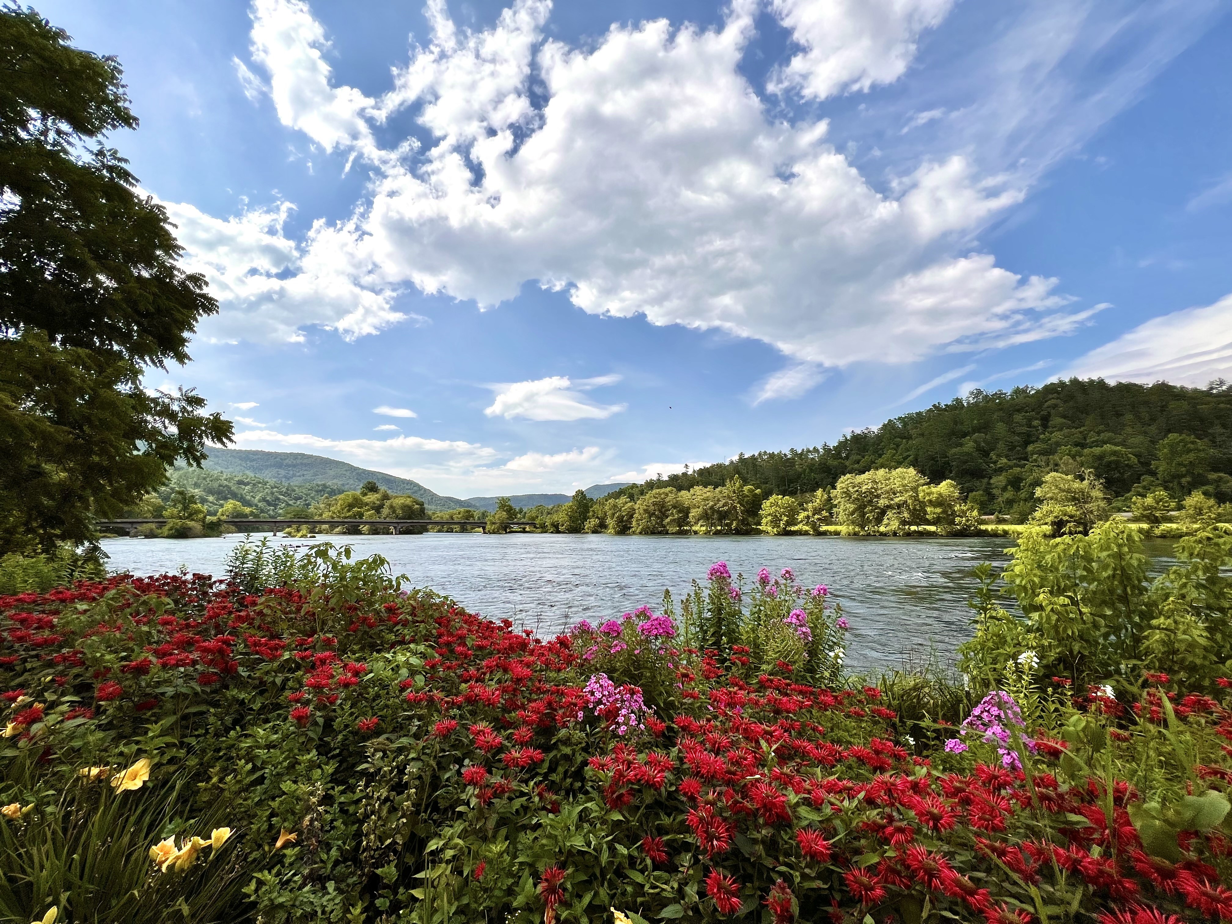 River flowers scenic view in Polk County